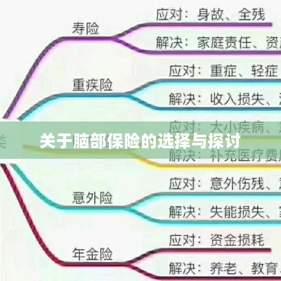 脑部保险的选择与探讨指南-图1