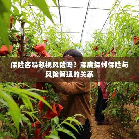深度探讨保险与风险管理关系,揭示易被忽视的风险及其应对策略-图1 深度探讨保险与风险管理关系,揭示易被忽视的风险及其应对策略-图1