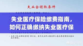 失业医疗保险缴费详解,如何正确缴纳费用指南-图1 失业医疗保险缴费详解,如何正确缴纳费用指南-图1