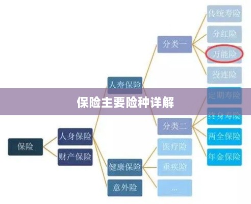 保险主要险种详解概览-图1 保险主要险种详解概览-图1