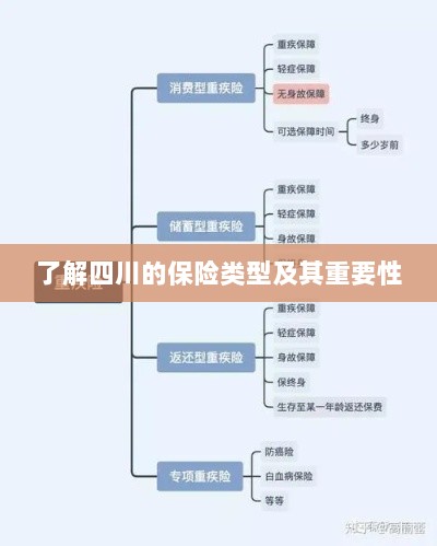 四川保险类型概览及其重要性探究-图1 四川保险类型概览及其重要性探究-图1