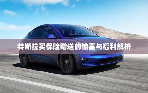 特斯拉保险赠品福利大解析,惊喜与优惠一网打尽!-图1 特斯拉保险赠品福利大解析,惊喜与优惠一网打尽!-图1