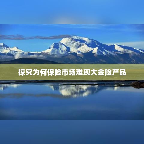 大金险产品在保险市场的缺席之探究-图1 大金险产品在保险市场的缺席之探究-图1