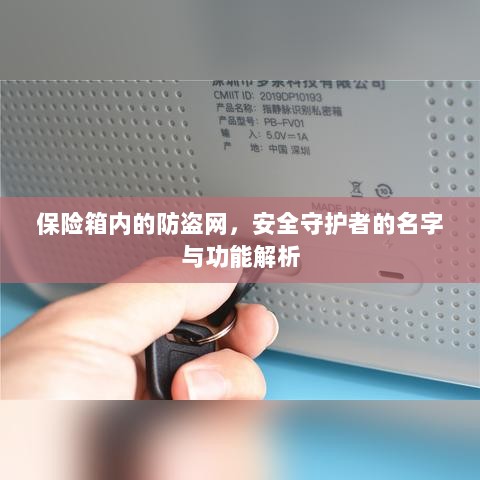 保险箱内防盗网，安全守护者名字与功能深度解析-图1