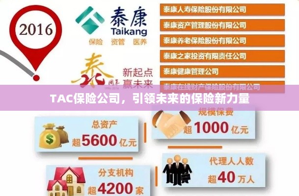 TAC保险公司，引领保险行业新力量崛起-图1