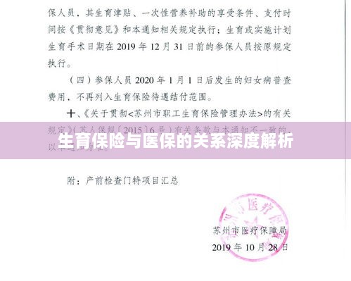 生育保险与医保关系的深度探讨-图1