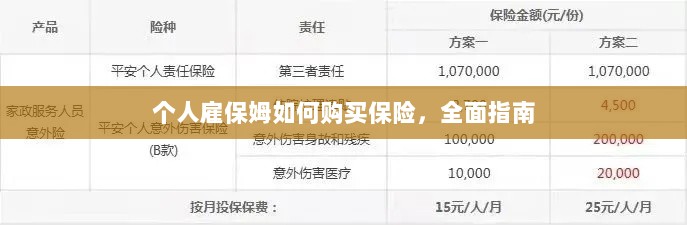 个人雇保姆保险购买指南，全面解析与攻略-图1