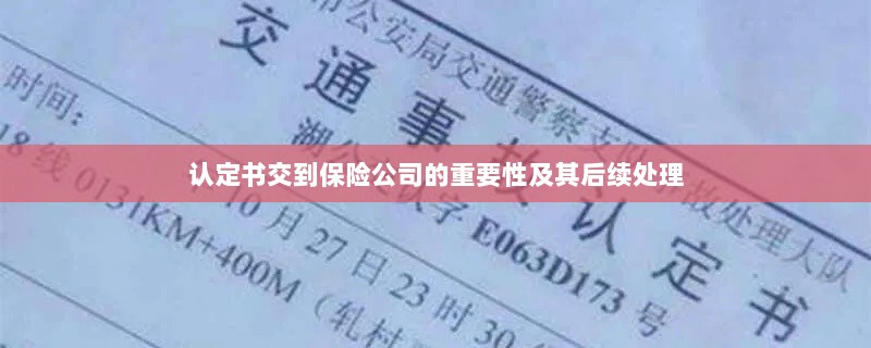 认定书交到保险公司的重要性及后续处理流程详解-图1