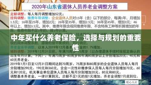 中年养老保险的选择与规划，关键性与策略探讨-图1
