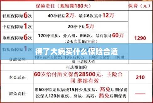 大病保险选择指南,如何选购合适的保险?-图1 大病保险选择指南,如何选购合适的保险?-图1
