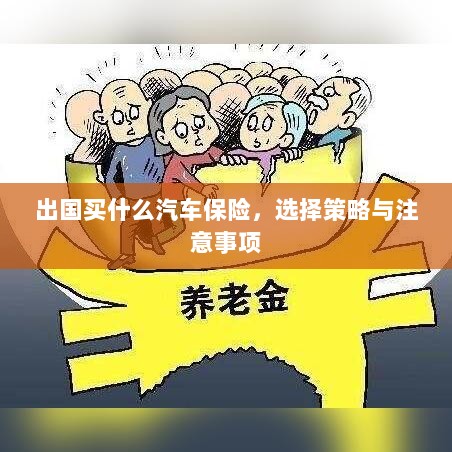 出国购车保险指南,选择策略与注意事项-图1 出国购车保险指南,选择策略与注意事项-图1