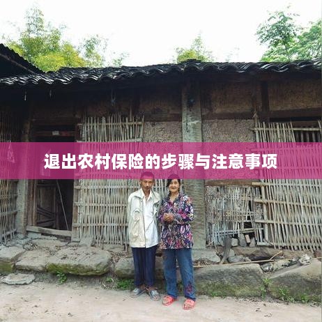 退出农村保险的步骤及注意事项详解-图1 退出农村保险的步骤及注意事项详解-图1