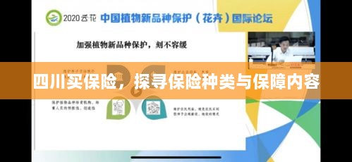 四川保险探秘，种类与保障内容全解析-图1