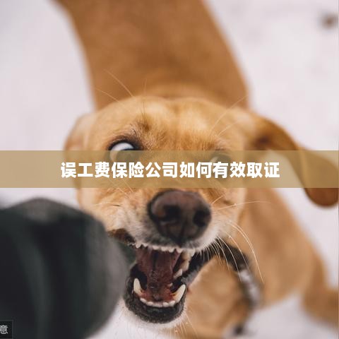 保险公司如何有效取证误工费证据？-图1