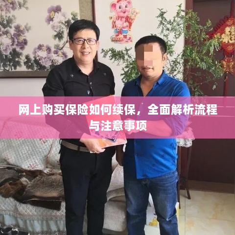 网上购买保险续保指南，流程解析与注意事项全攻略-图1