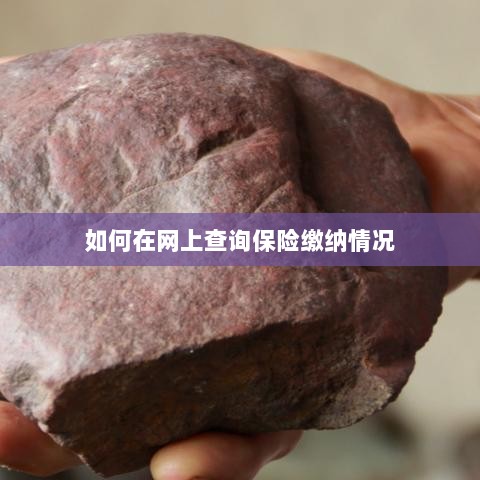 网上查询保险缴纳情况攻略-图1 网上查询保险缴纳情况攻略-图1