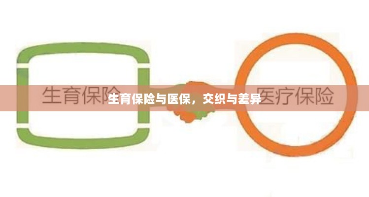 生育保险与医保，交织融合与差异解析-图1