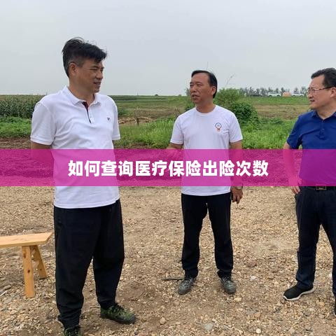医疗保险出险次数查询攻略-图1