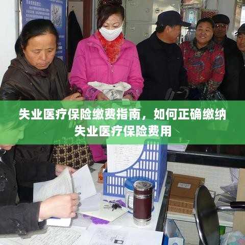 失业医疗保险缴费详解,如何正确缴纳费用指南-图1 失业医疗保险缴费详解,如何正确缴纳费用指南-图1