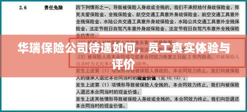 华瑞保险公司员工待遇与体验评价揭秘-图1