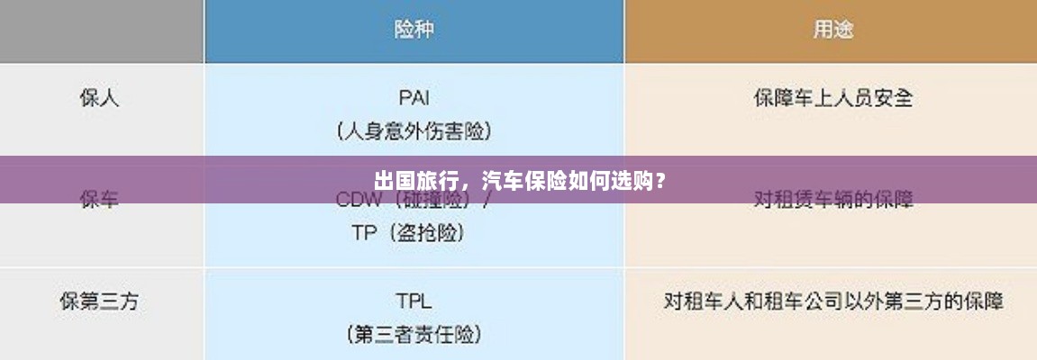 出国旅行汽车保险选购指南-图1