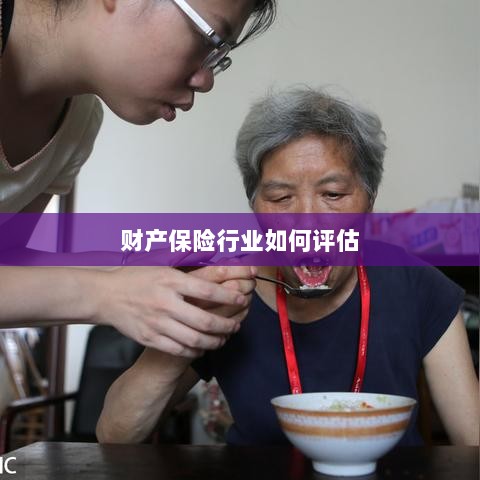 财产保险行业评估方法与策略解析-图1 财产保险行业评估方法与策略解析-图1