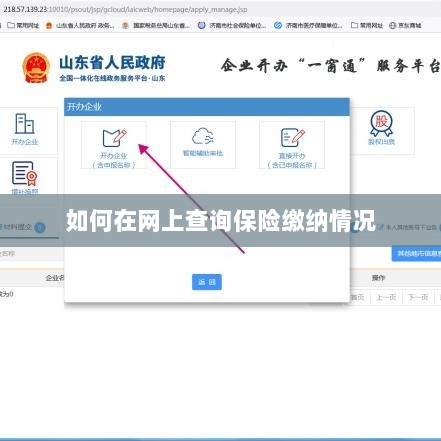 网上查询保险缴纳情况攻略-图1 网上查询保险缴纳情况攻略-图1