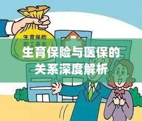 生育保险与医保关系的深度探讨-图1