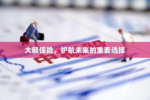 大额保险，守护未来安全的重要选择-图1