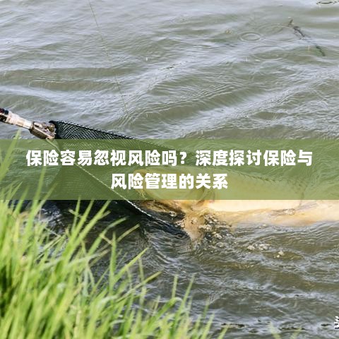 深度探讨保险与风险管理关系，揭示易被忽视的风险及其应对策略-图1