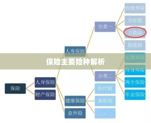 保险主要险种详解-图1 保险主要险种详解-图1