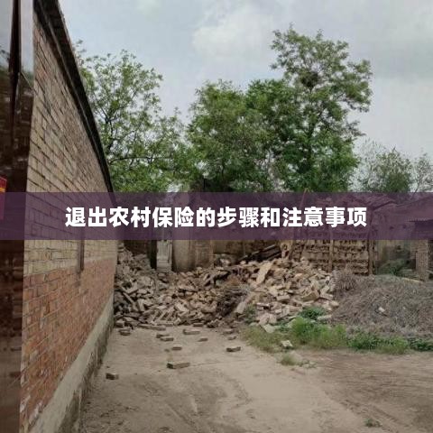 退出农村保险的步骤及注意事项详解-图1 退出农村保险的步骤及注意事项详解-图1