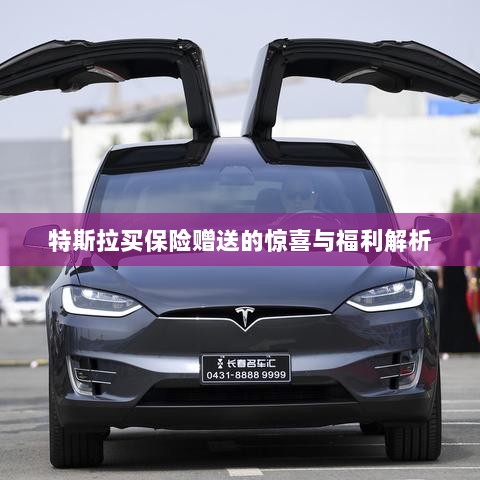 特斯拉保险赠品福利大解析，惊喜与优惠一网打尽！-图1
