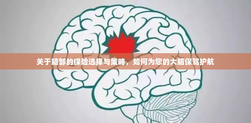 如何为大脑保驾护航，选择最佳脑部保险策略与方案-图1