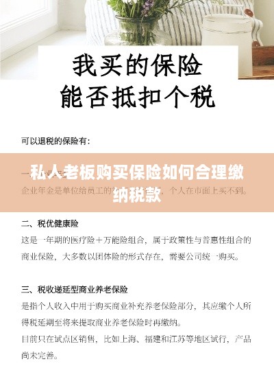 私人老板购买保险如何合理缴税,策略与指南-图1 私人老板购买保险如何合理缴税,策略与指南-图1
