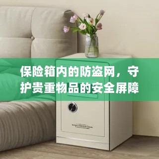 保险箱内防盗网，守护贵重物品的安全卫士-图1