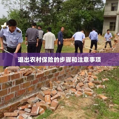 退出农村保险的步骤及注意事项详解-图1