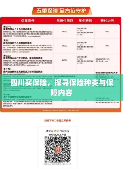 四川保险探秘,种类与保障内容全解析-图1 四川保险探秘,种类与保障内容全解析-图1