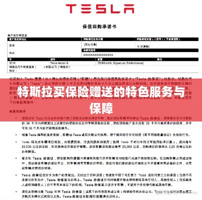 特斯拉保险购买福利,专属特色服务与全面保障-图1 特斯拉保险购买福利,专属特色服务与全面保障-图1
