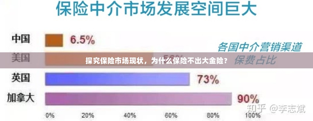 保险市场现状分析，探究大金险缺失的原因探究保险市场现状，揭秘大金险缺失背后的原因-图1