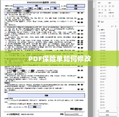 PDF保险单修改指南-图1 PDF保险单修改指南-图1