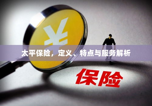 太平保险,定义、特色及服务详解-图1 太平保险,定义、特色及服务详解-图1