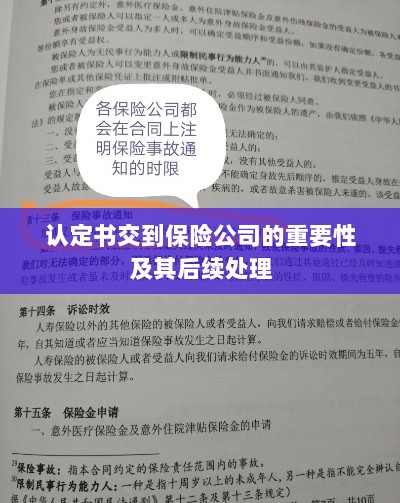 认定书交到保险公司的重要性及后续处理流程详解-图1