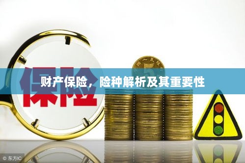 财产保险险种解析与重要性探讨-图1 财产保险险种解析与重要性探讨-图1