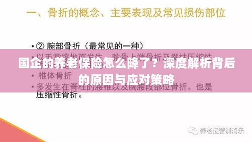 深度解析国企养老保险降低背后的原因及应对策略-图1