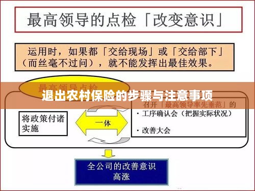 退出农村保险的步骤及注意事项详解-图1