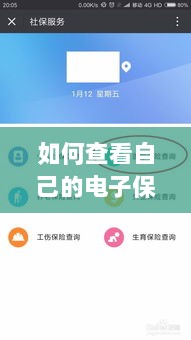 如何查看个人电子保险保单详情-图1