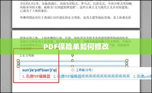 PDF保险单修改指南-图1
