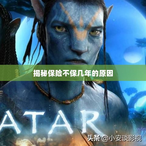 揭秘保险不保多年的原因解析-图1 揭秘保险不保多年的原因解析-图1