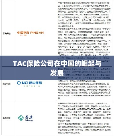 TAC保险公司在中国的崛起与蓬勃发展之路-图1 TAC保险公司在中国的崛起与蓬勃发展之路-图1